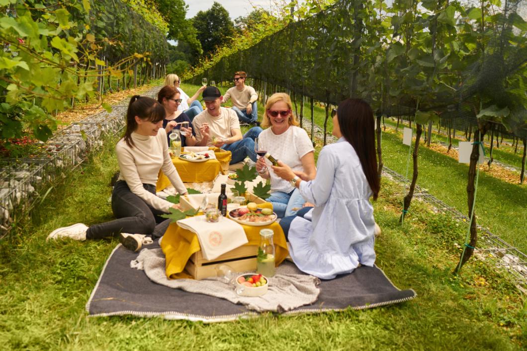 Piknik med grajskimi trtami. Foto: Blaž Žnidarič
