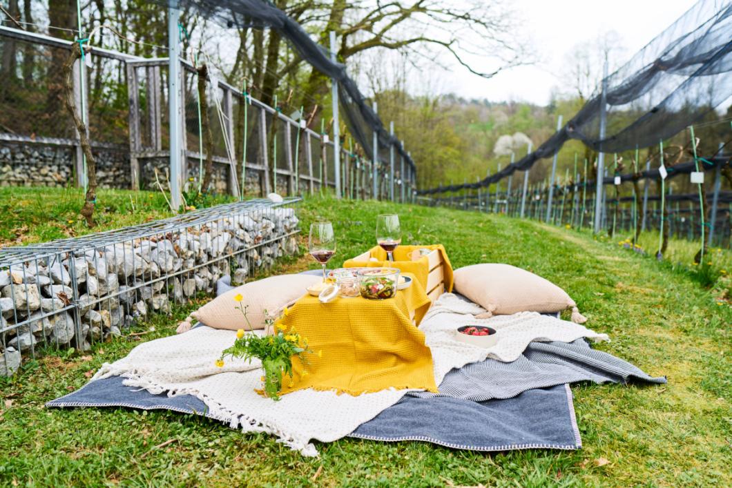 Piknik med grajskimi trtami. Foto: Blaž Žnidarič
