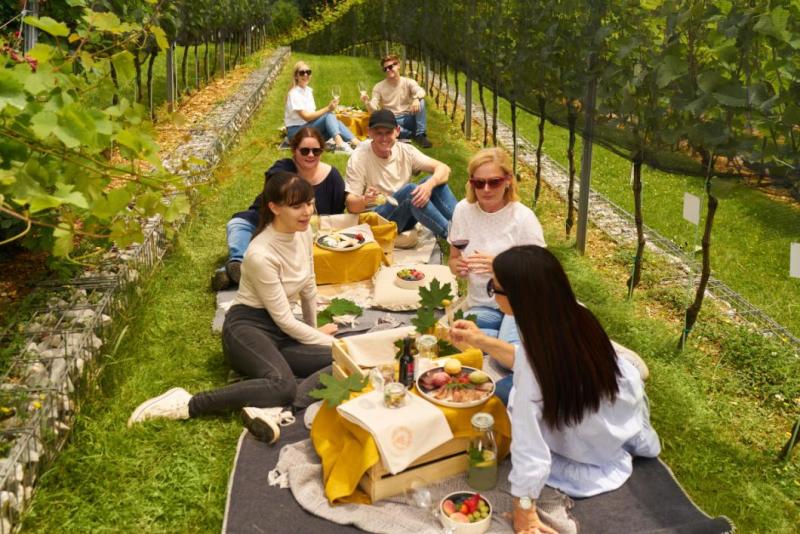 Piknik med grajskimi trtami. Foto: Blaž Žnidarič