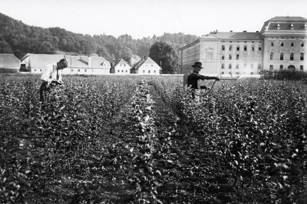 Drevesnica Kmetijske družbe na Poljanah, v ozadju Kralja Petra vojašnica