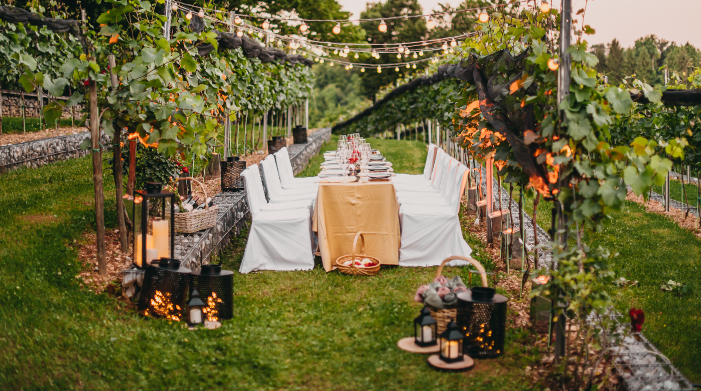 Večerja v Grajskem vinogradu. Foto: Matic Kremžar