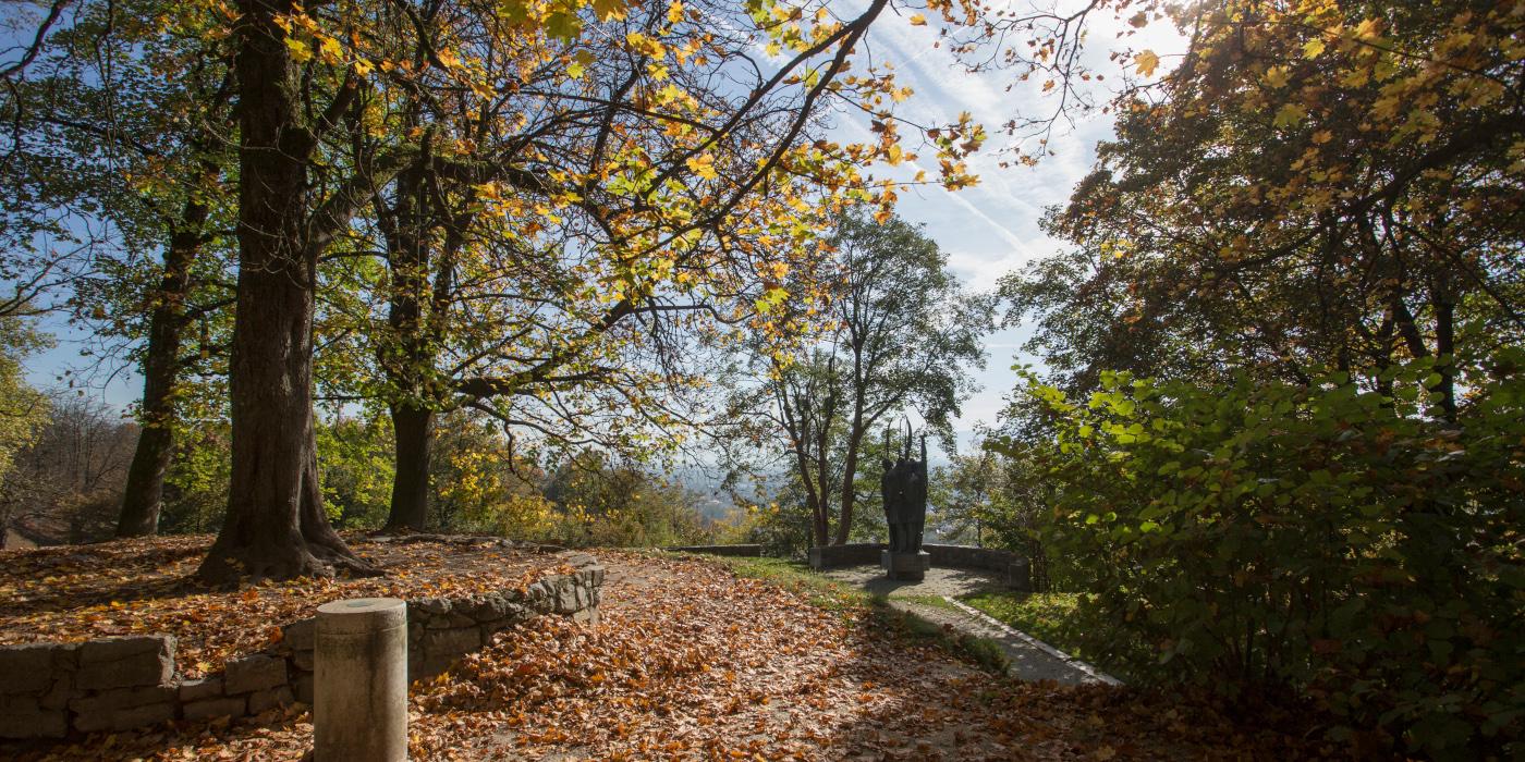 Jesen na Grajskem griču. Foto: arhiv LG