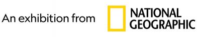 LOGOTIP ng 04